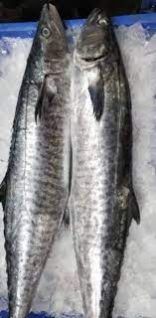 Big Surmai/Seerfish/Ayakura(3kg to 5kg-Rs1200/-)