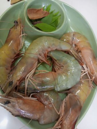 Tiger white Prawns Sea