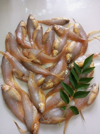 Mandeli(anchovy)