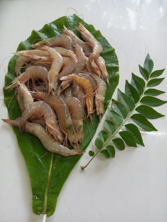 White Prawns(Sea)